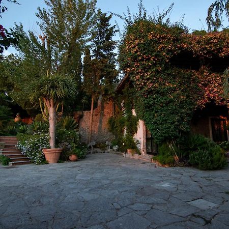 Villa Le Palme Forio di Ischia エクステリア 写真