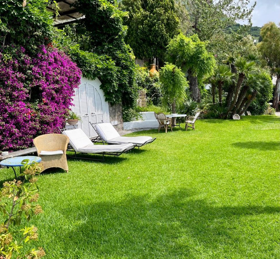 Villa Le Palme Forio di Ischia エクステリア 写真