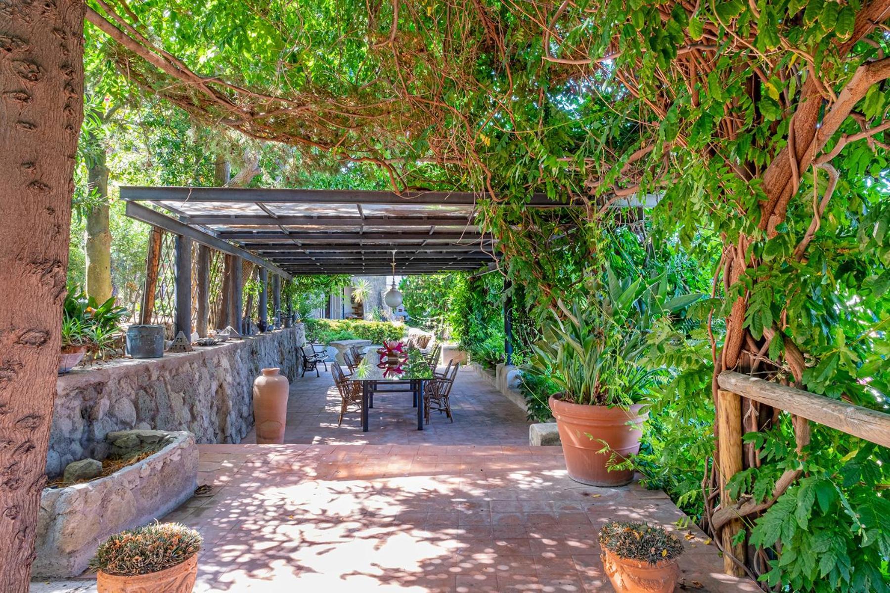 Villa Le Palme Forio di Ischia エクステリア 写真