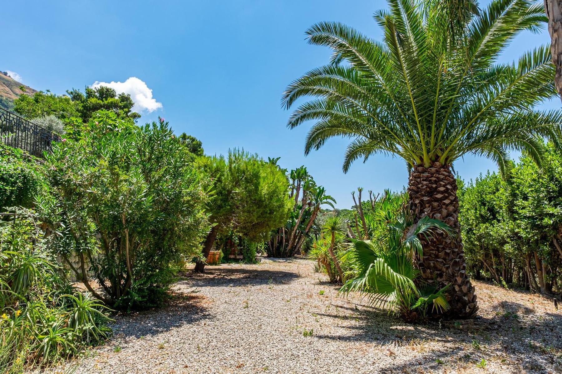 Villa Le Palme Forio di Ischia エクステリア 写真