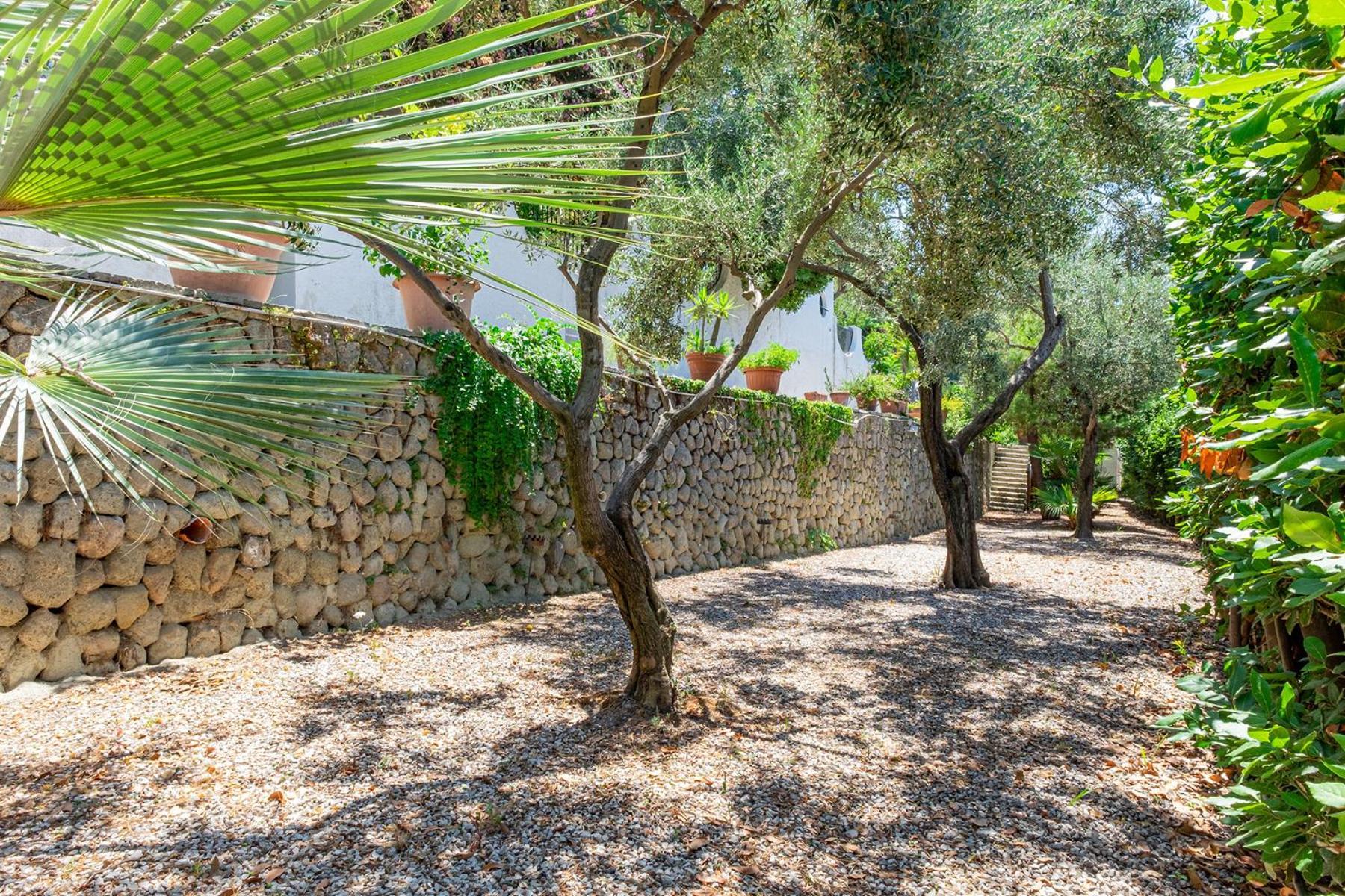 Villa Le Palme Forio di Ischia エクステリア 写真