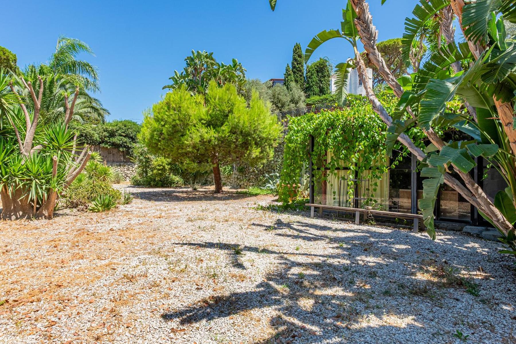 Villa Le Palme Forio di Ischia エクステリア 写真